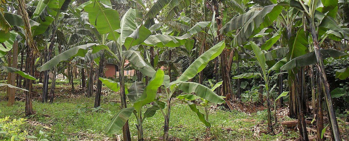 Residential land for sale